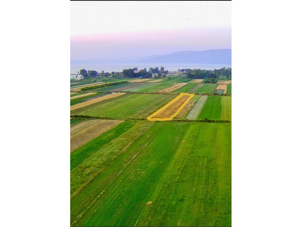 TOKË 3147 M2 PËR SHITJE NË POGRADEC !!!