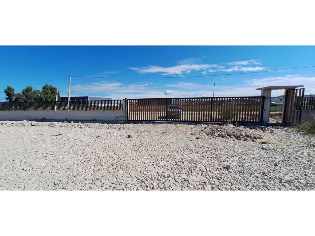 SHITET TOKE BUZE RRUGE NE SHEN VLASH!!!!