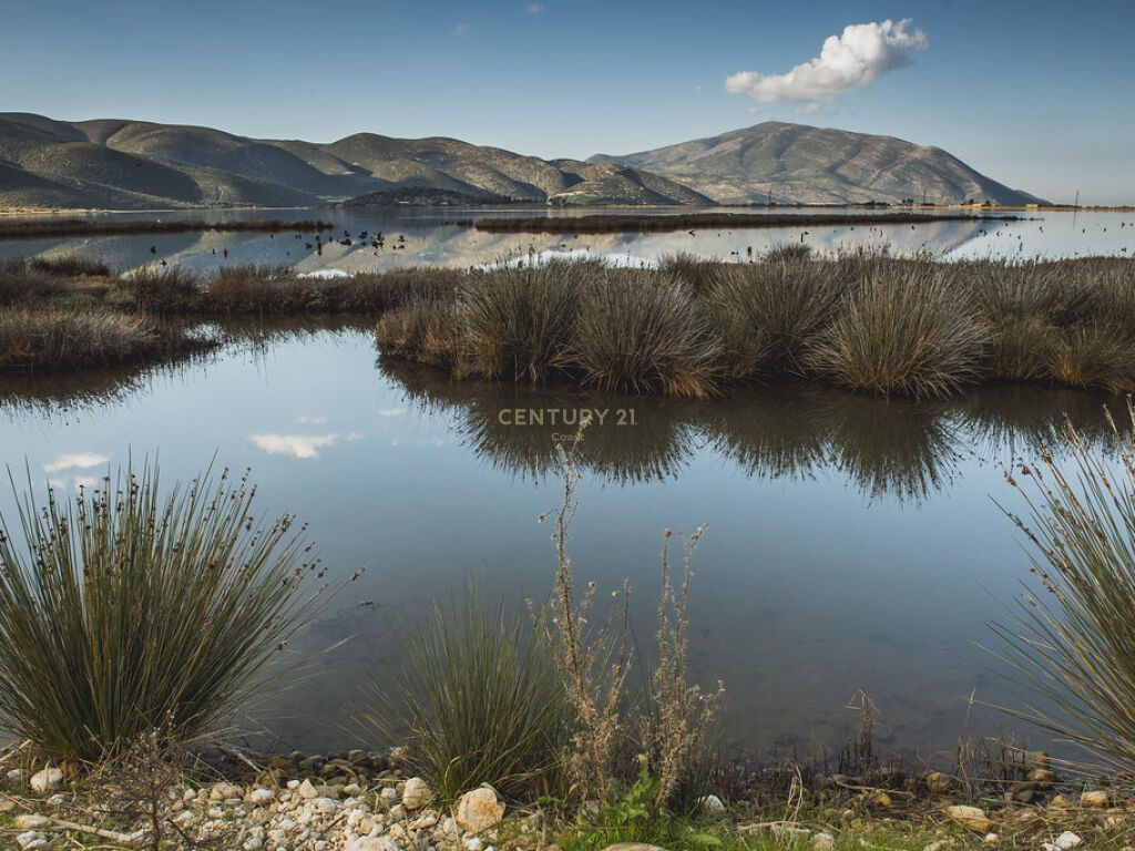 SHITET TOKE-ARE PRANE KISHES SE MARMIROIT NE ORIKUM, VLORE