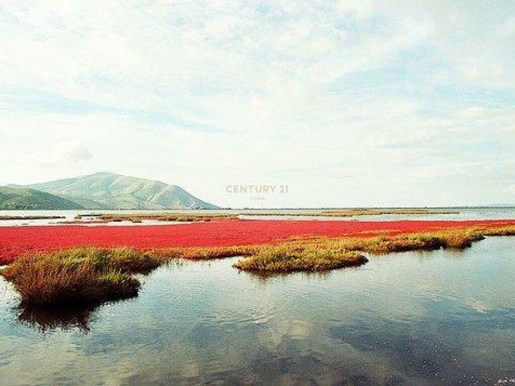 SHITET TOKE-ARE PRANE KISHES SE MARMIROIT NE ORIKUM, VLORE