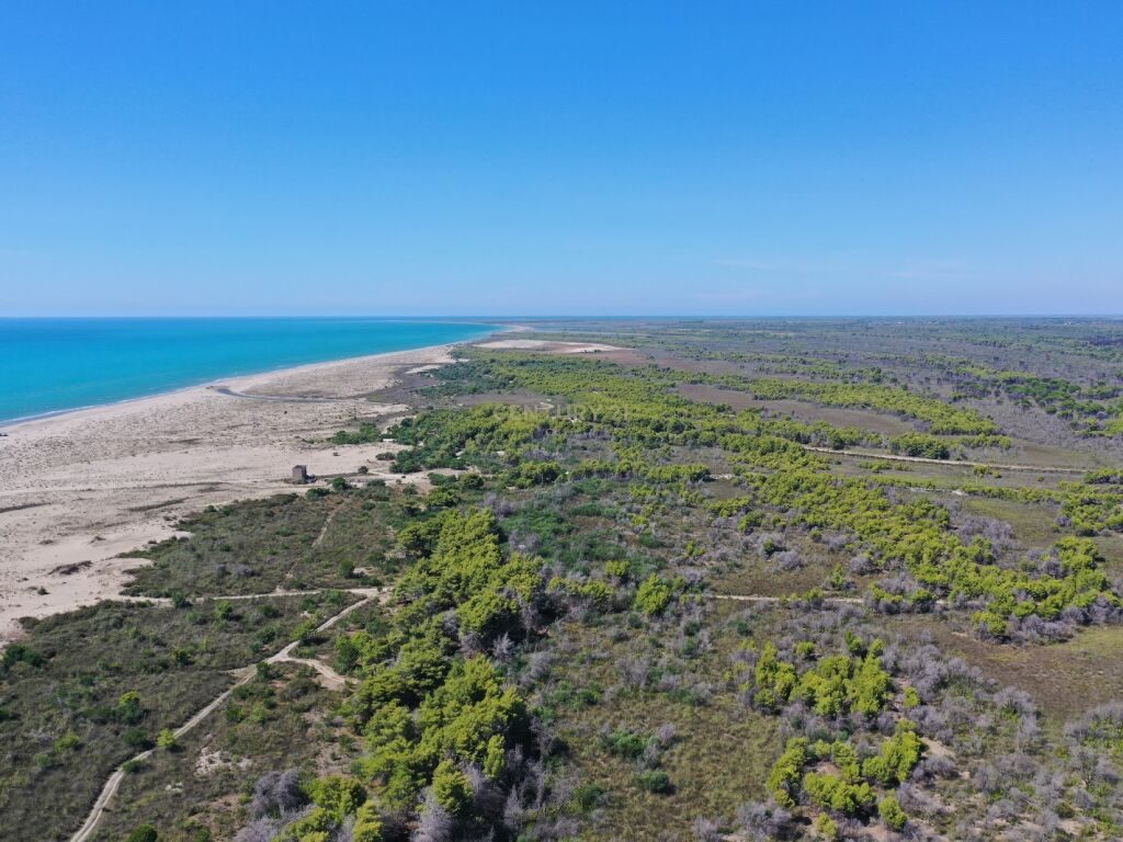 SHITET  TOKA NE AFERSI TE PLAZHIT TE HIDROVORIT NE NOVOSELE, VLORE!!!